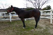 ��������� (SEORABEOL JILJU) ����