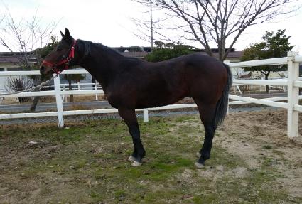 ��������� ����