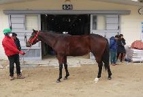 �ְ������ (CHOEGANG HERO) ����