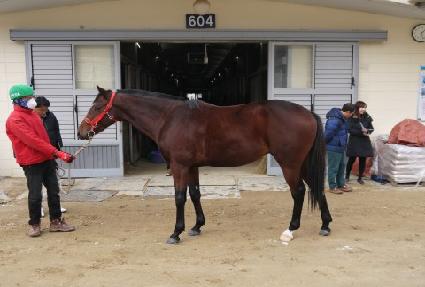 �ְ������ ����