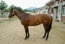 ��ȫ (SEONHONG) ����