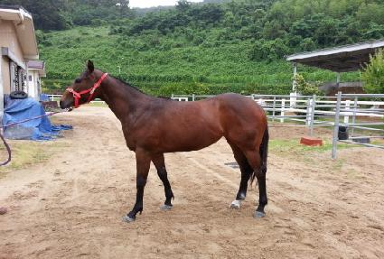 �������� ����