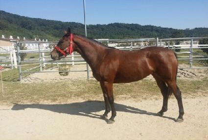 ���ٴ� ����