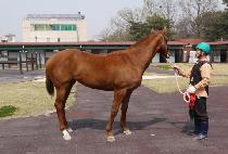 õ���Ǳ�� (CHEONYEONUIGIPPEUM) ����