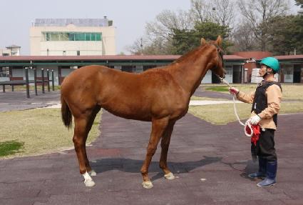 õ���Ǳ�� ����