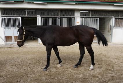 ���̵θ� ����