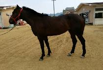 ���������� (WIDAEHAN JILJU) ����