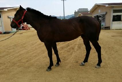 ���������� ����