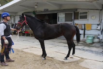 ��Ʋ�󽺿� ����