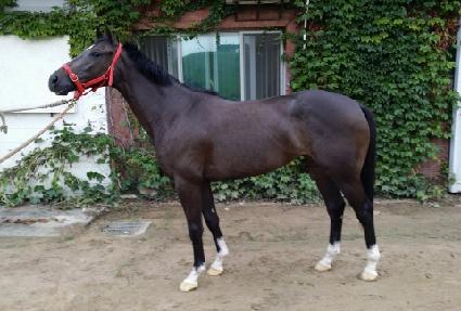 ���̵���� ����