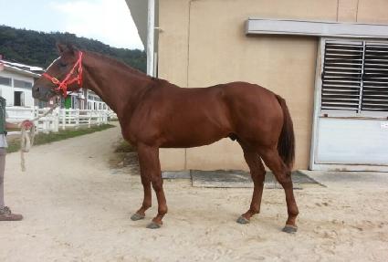 ��ũ�� ����