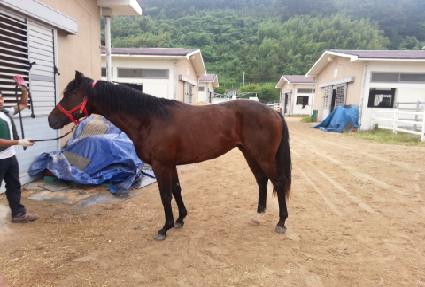 ������ ����