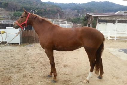 �̽�ƽ��ũ ����