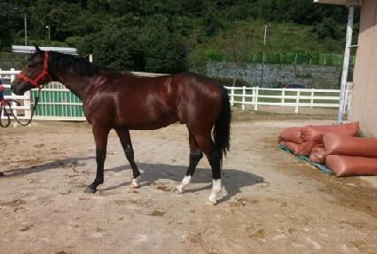 �������� ����