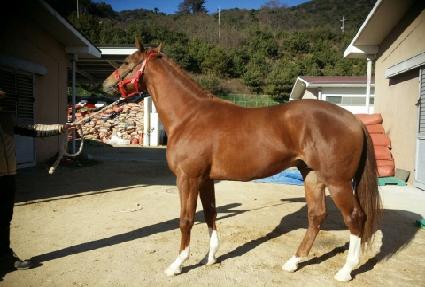 ��Ƽ��Ÿ�� ����