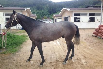 �¿��� ����