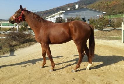 ���ѳ��� ����