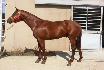 Ʈ���ó��� ����