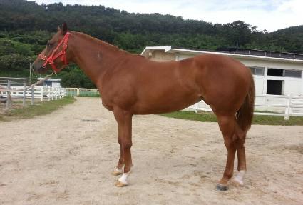 �̹����� ����