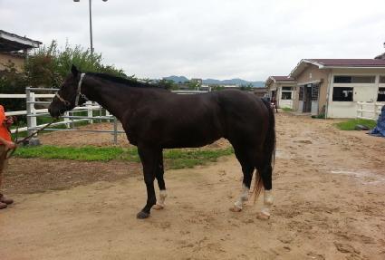 �۷ι��ְ� ����