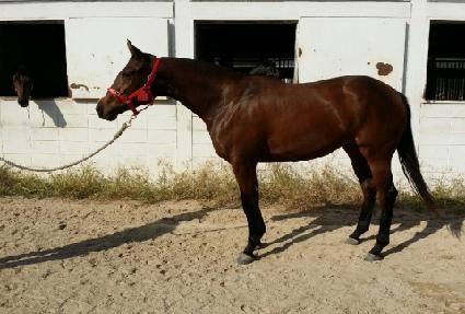 �ε����ũ ����