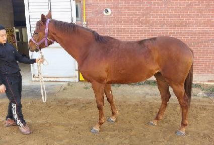 ���Ѹ�ǰ ����