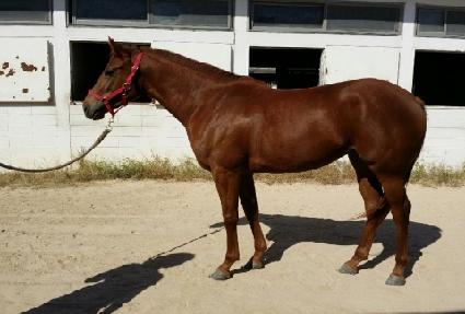 �ƽþȽ��丮 ����