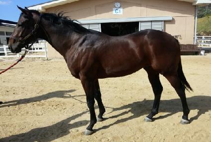 �ö�������Ʈ ����