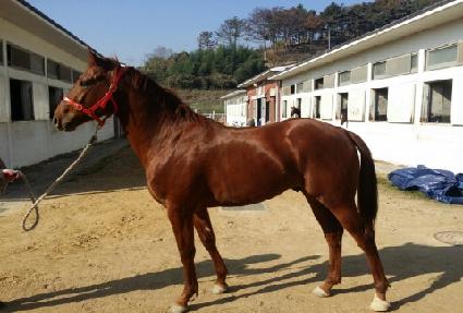 ŷ������ ����