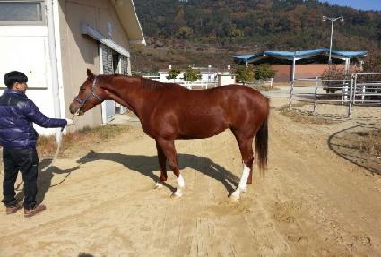 �������� ����