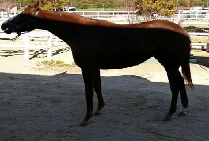 ������ ����