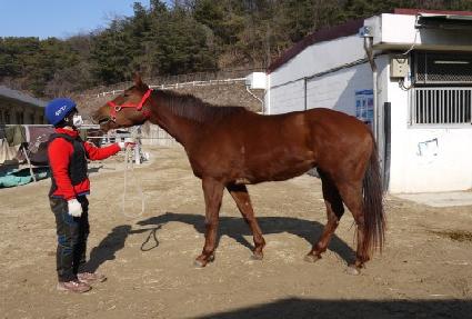 ������ǳ ����