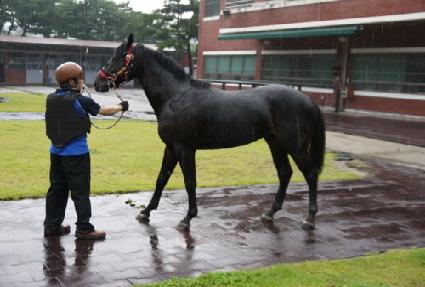 �帲���� ����