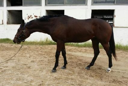 �������� ����