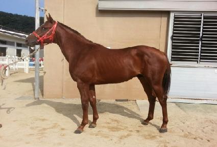 �Ϲ�� ����