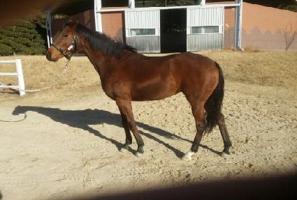 ������ ����