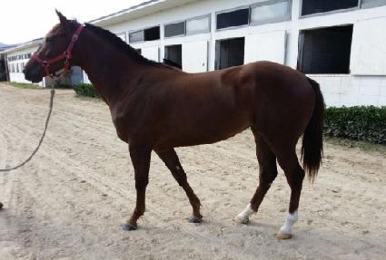 ������ ����