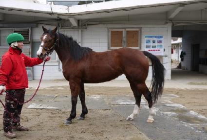 Ȳ���Ǻ� ����