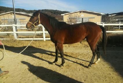 �̽�ĸƾ ����