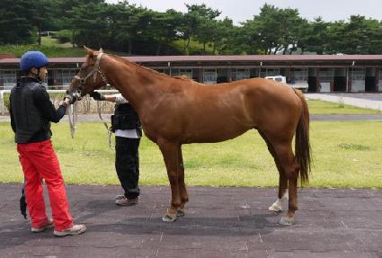 ��Ÿ�� ����