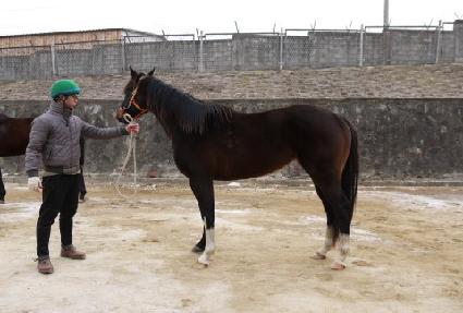 ���̾����� ����