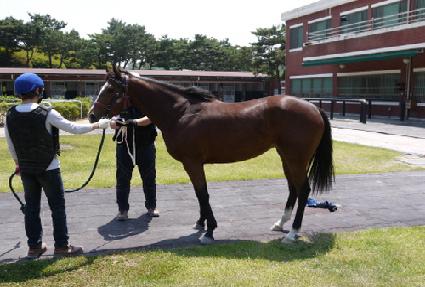 ����� ����