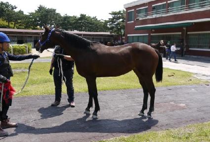 �ܵ����� ����