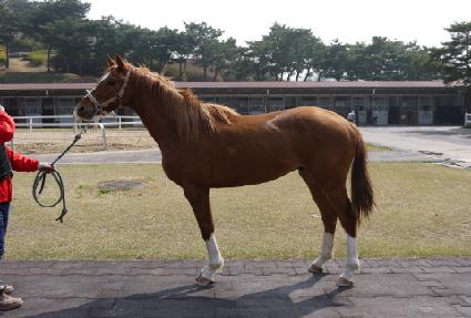 ���Ȧ�� ����