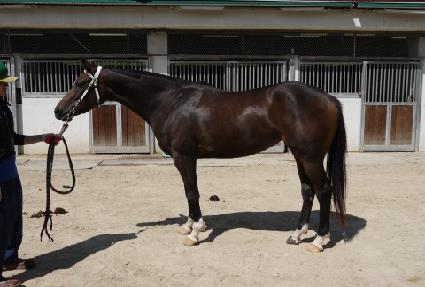 Ű��ƽ ����