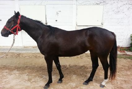 �������� ����