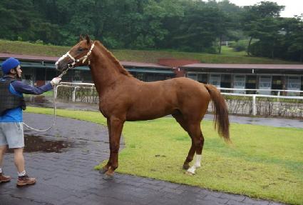 ����Ʈ�� ����