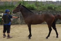 ������õ (SWEEP ICHEON) ����