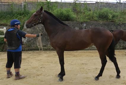 ������õ ����