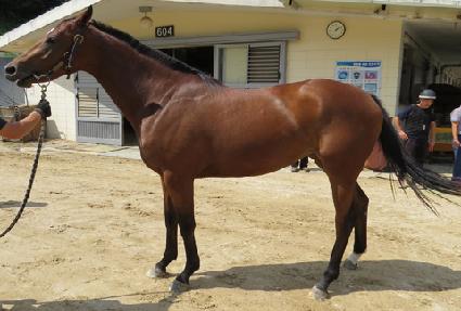 û�� ����